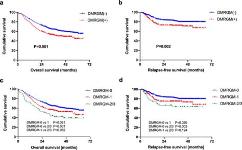 Overall Survival OS And Relapse Free Survival RFS In AML Patients