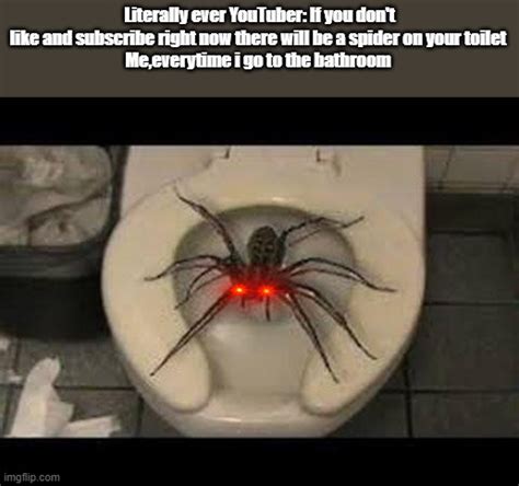 spider toilet Memes - Imgflip