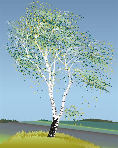Download Birch Tree Birch Tree Illustration Birch Royalty Free