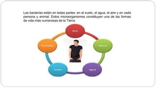 ANALISIS MICROBIANO EN LA INDUSTRIA FARMACEUTICA 10 Pptx