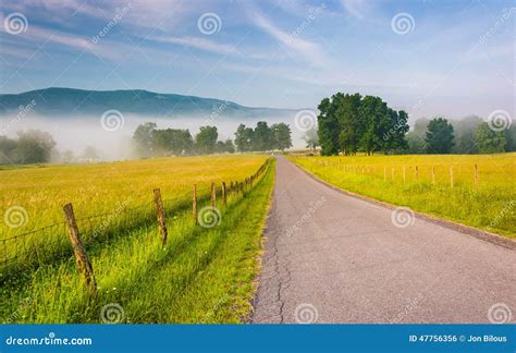 Farm Fields Along A Country Road On A Foggy Morning In The Potomac