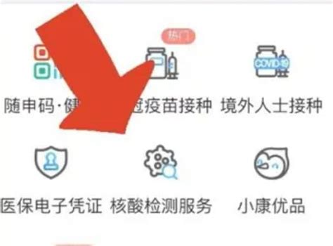 核酸检测预登记二维码在哪里，支付宝微信的健康云小程序 — 久久经验网