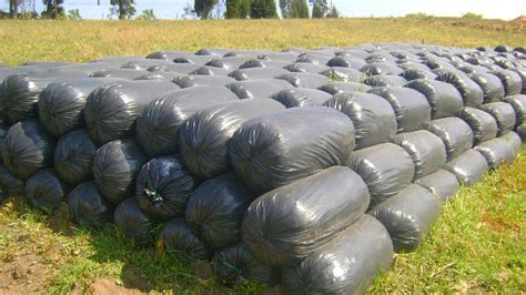 C Mo Hacer Ensilaje Para Ganado Pasturas Tropicales