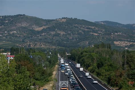 Cervo Centrato Da Un Auto Lungo Il Raccordo Perugia Bettolle Umbria