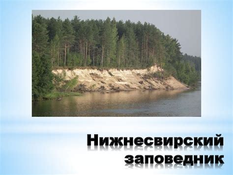 Охрана редких растений на территории Российской Федерации и Республики ...