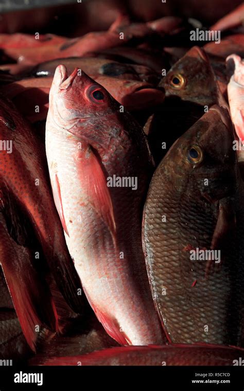 Mercado De Cabo Verde Fotograf As E Im Genes De Alta Resoluci N Alamy