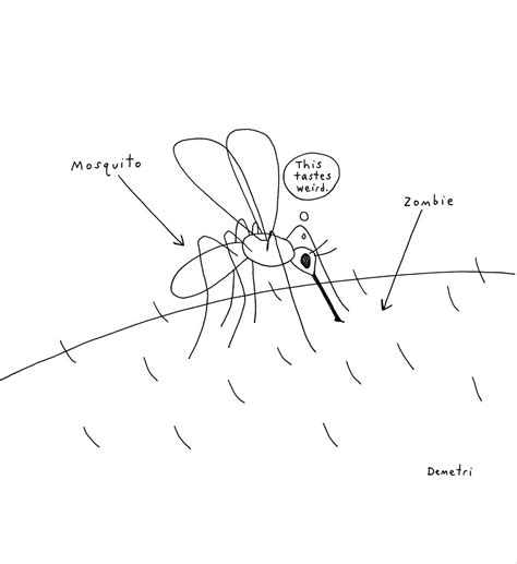 Demetri Martin Drawings at PaintingValley.com | Explore collection of ...