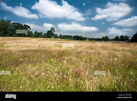 Barracks Layout Chesters Roman Fort Northumbria Stock Photo Alamy