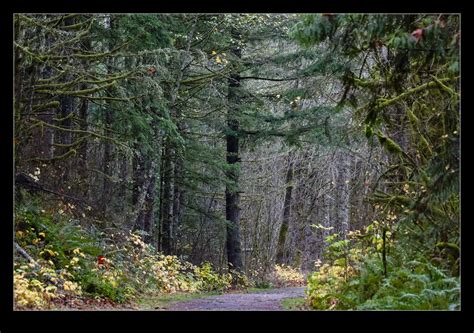 Snoqualmie Valley Trail Robsblogs