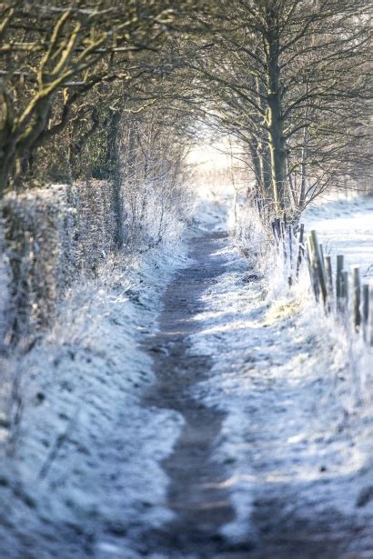 Morning Frost Free Stock Photo Public Domain Pictures