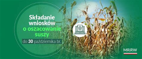 Wydłużenie terminu na składanie wniosków o oszacowanie suszy w