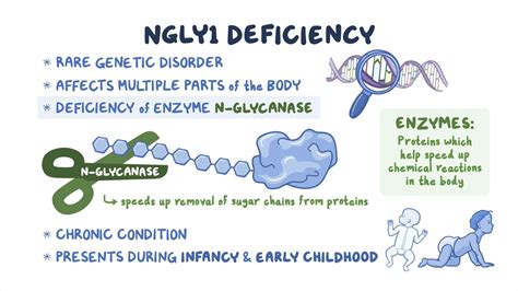 NGLY1 Deficiency NORD Video Anatomy Definition Osmosis