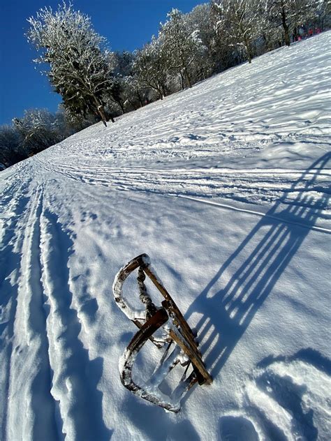 Winter'S Day Sleigh Ride Sleds - Free photo on Pixabay - Pixabay