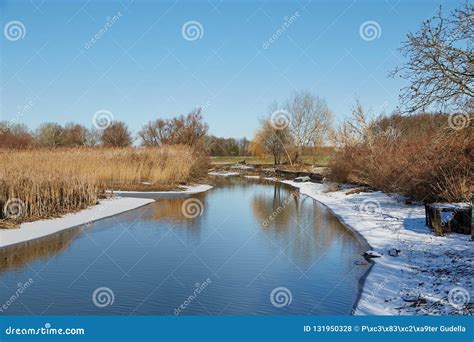 Lakeside winter landscape stock photo. Image of plain - 131950328