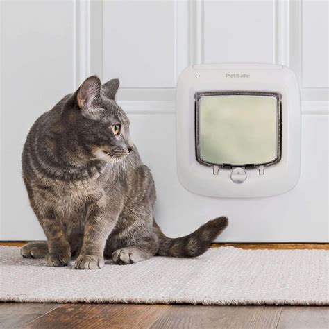 Animates Microchip Cat Door at Hayley Forster blog