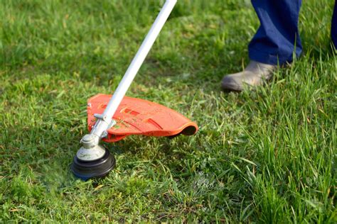 Tips for Mowing an Overgrown Lawn - LawnStar