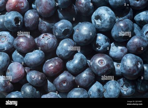 Antocianinas Saludables Fotografías E Imágenes De Alta Resolución Alamy