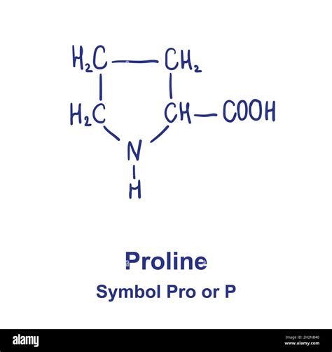 Proline chemical structure. Vector illustration Hand drawn Stock Vector ...