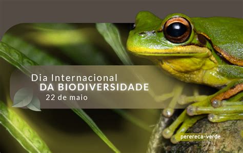 22 De Maio Dia Internacional Da Biodiversidade Arauco Brasil