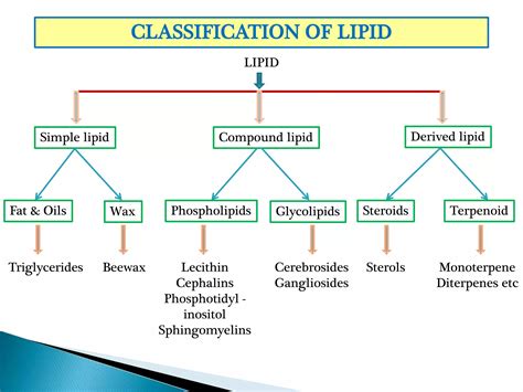 Lipids Properties Classification Function Ppt