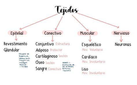 Tejidos Millaray Monserrat Jiménez Venegas uDocz