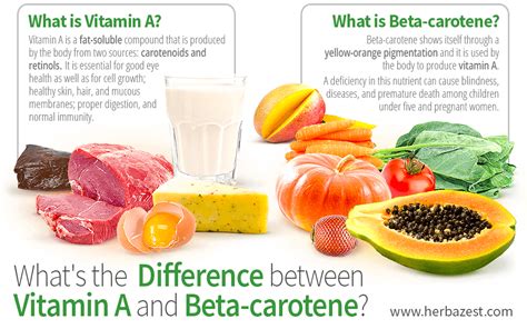 🌷 Beta Carotene Function Vitamins And Minerals 2022 10 09