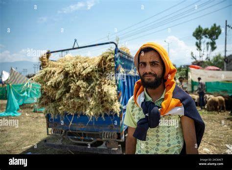 Srinagar India Th June A Grass Seller Poses For A Picture As