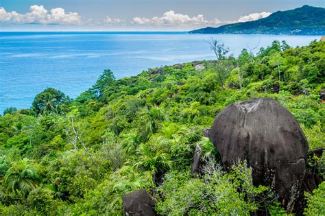 7 Best Things To Do In Seychelles A Nomad Guide For 2024