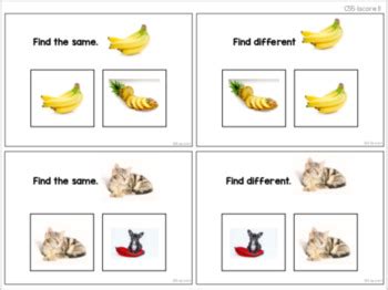 Same Different Task Cards ABLLS R Aligned C55 By The Autism Helper