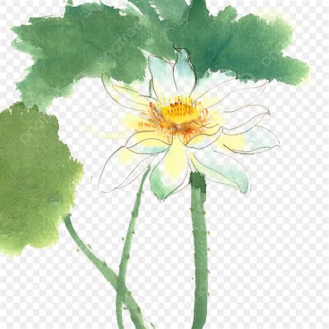 White Lotus Hd Transparent White Lotus Ink Painting Hand Painted