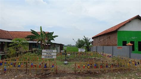 Pembuatan Taman Kkn P Sebagai Media Edukasi Untuk Menanamkan Rasa