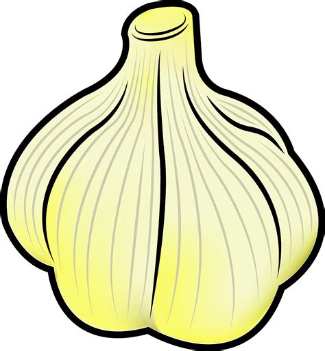 Garlic Clipart Collection Free Vector Graphics And Illustrations