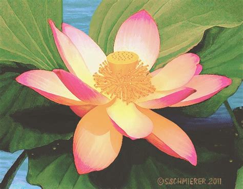 Acrylic Lotus Flower Painting At PaintingValley Explore