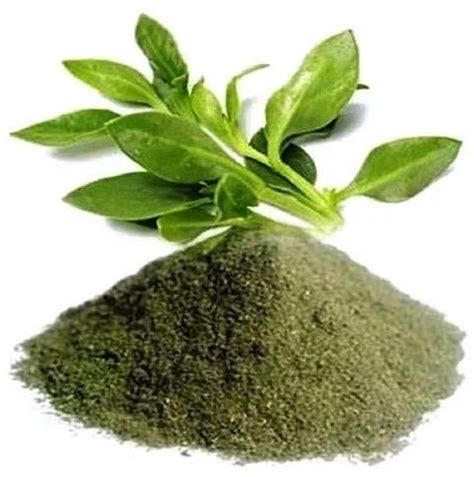 Andrographis Paniculata Extract Powder Packaging Type Loose At Rs