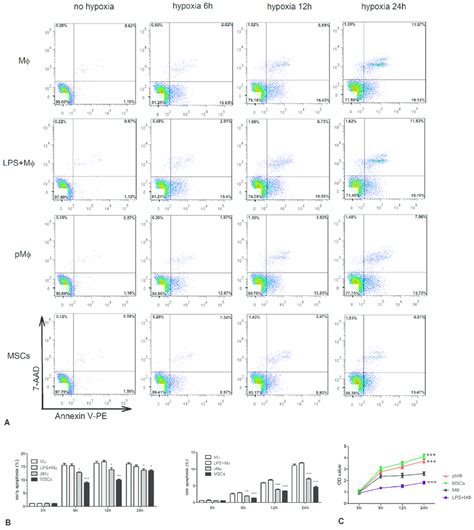 Cell Counting Kit 8 Cck 8 Proliferation Assay And Annexin V Pe7 Add