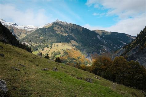 Waldlandschaften Berichte Sg Ch