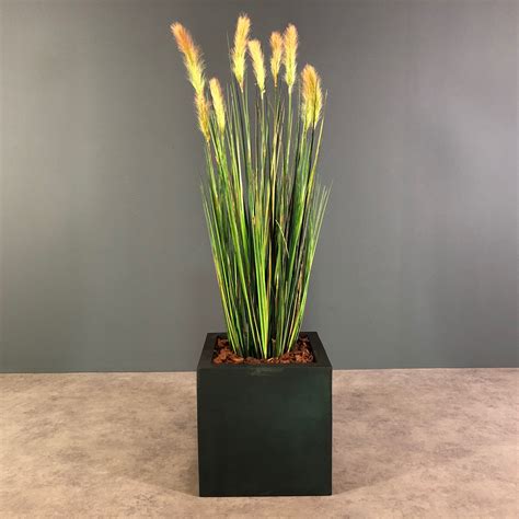 Foxtail Gras 90 Cm Bella Planta Kunstpflanzen