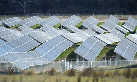 Australias Largest Solar Farm Set To Shine With 50 Square Kilometres Of