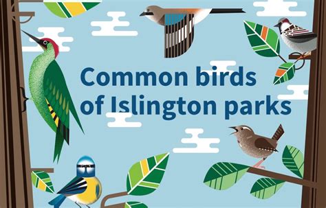 Common birds of Islington Parks – Friends of Wray Crescent