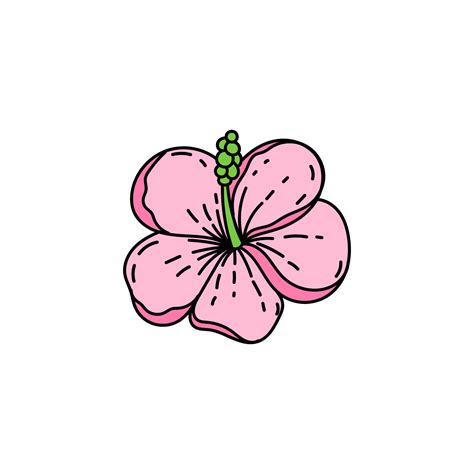 Easy Draw Hawaiian Flowers | Best Flower Site