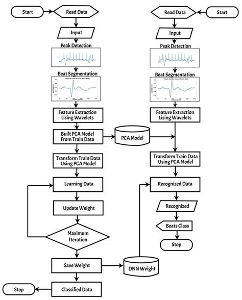 Flowchart Of The Classification Process Download Scientific Diagram