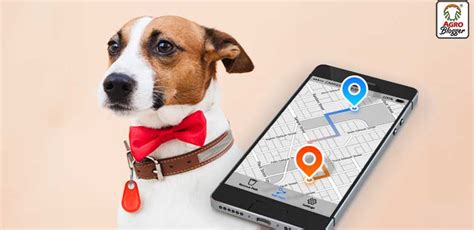 Funcionamiento Y Recomendaciones Del Gps Para Perros Y Gatos Mascotario