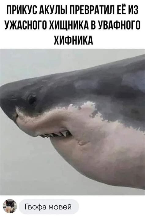 Пин от пользователя Anastasia Neto на доске MEMs | Мемы, Веселые мемы ...