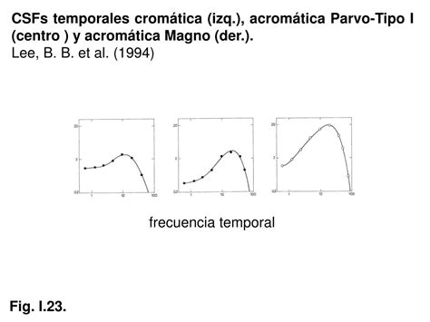 Ppt Unidad I Fundamentos Neurales De La Percepci N Visual La Retina Y