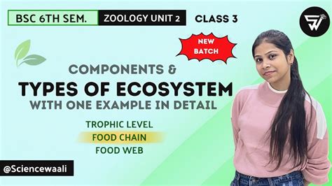 Types Of Ecosystem Trophic Level Food Chain Food Web Bsc Th Semester