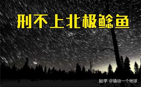 如何看待“北极鲶鱼”事件，深圳最新通报？ 知乎