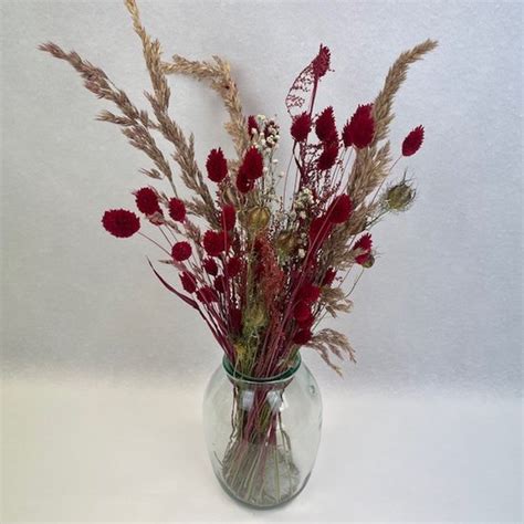 Droogbloemen Boeket Trendy Red Vaas Bol