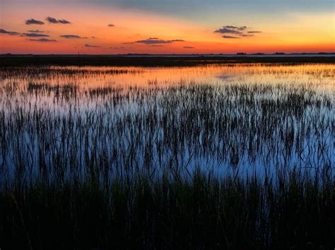 Salt Marsh Resilience Georgia Conservancy