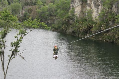 The Canyons Zip Line and Canopy Tours (Ocala, FL): Hours, Address, Top-Rated Zipline & Aerial ...