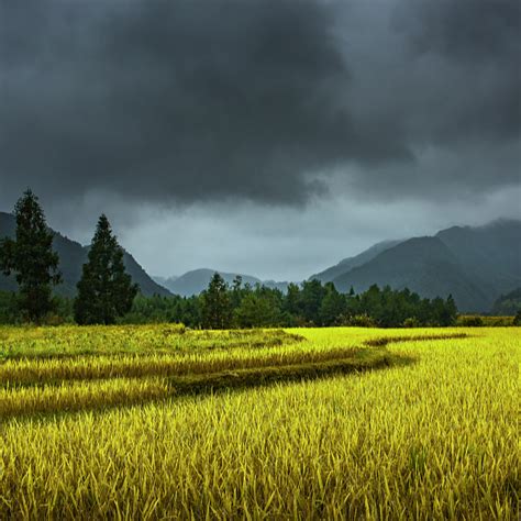 China Renews Blue Alert For Rainstorms Cgtn